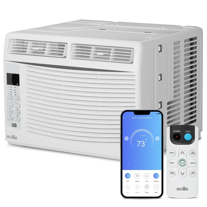 Mollie 6,000 BTU Smart Window Air Conditioner with WiFi, Energy Saving ...